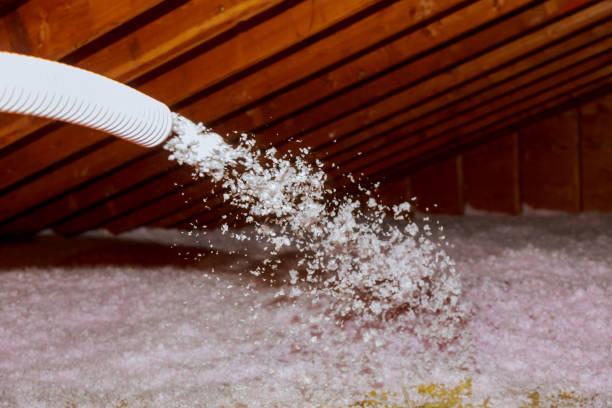 Best Commercial Insulation in Hernando, FL
