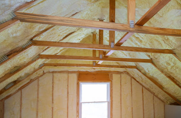 Best Geographic-Specific Insulation Services in Hernando, FL