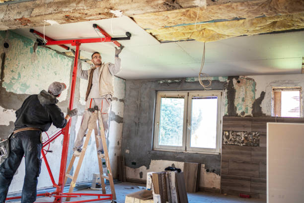Best DIY Insulation Kits and Guidance in Hernando, FL