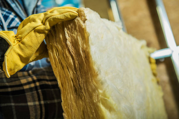 Best Insulation for Specific Applications in Hernando, FL