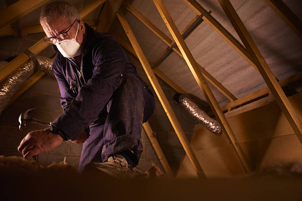 Best Eco-Friendly Insulation in Hernando, FL
